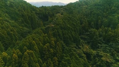 Filmische-Japanische-Landschaft,-Aufgenommen-Von-Dji-Phantom4pro