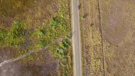 Aerial-flight-following-road-over-yellow-grassland-in-Tasmania-in-Australia,-birds-eye-perspective-moving-forward-over-car