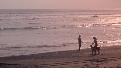 Two-beautiful-blonde-women-in-bikinis-and-a-dog-running-and-playing-together-in-slow-motion-on-the-sandy-beach-of-Punta-Banco,-Costa-Rica