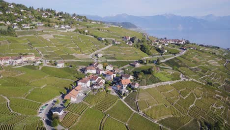Aerial-orbit-around-typical-Swiss-village-in-Lavaux-vineyard-with-Lake-Léman-and-the-Alps-in-the-background-Aran,-Lavaux---Switzerland