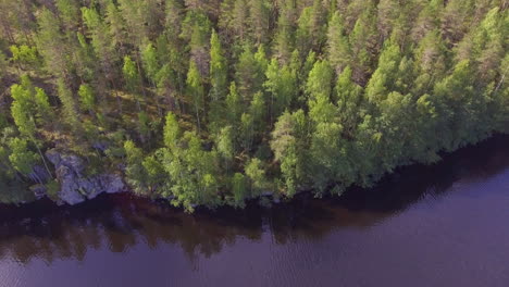 Aerial-video-of-untouched-borealis-forest-and-ice-age-molded-big-rocks-in-the-shoreline-of-a-forest-lake