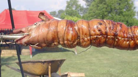 Two-pigs-turn-and-roast-over-an-open-fire-at-a-barbecue