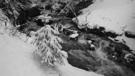 A-small-creek-with-snow-covered-banks-during-snowfall-in-Chugach-state-park-Alaska