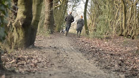 Couple-walking-dog-in-winter-woods