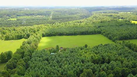Drone-flying-over-a-vast-forest-towards-a-small-farming-property