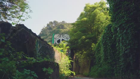 Camino-Abandonado-Revela-Pared-De-Graffiti-Con-Mucha-Vegetación-Exuberante
