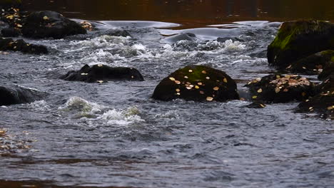 Group-of-rocks-in-a-river-rapids-in-autumn