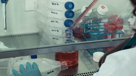 Pharmazeutisches-Labor-Füllt-Petrischale-Mit-Roter-Flüssigkeit,-Um-Tests-Durchzuführen