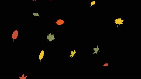 Schöne-Herbstblätter-Fallender-Animation-Im-Flachen-Stil-Mit-Schwarzem-Hintergrund