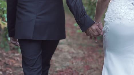 wedding-couple-holding-hands-and-walking-in-a-natural-park