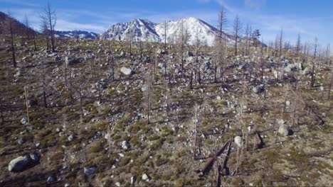 Drone-reveal-shot-flying-over-burned-forest-and-revealing-snow-capped-mountains-and-lake-near-Lake-Tahoe,-CA