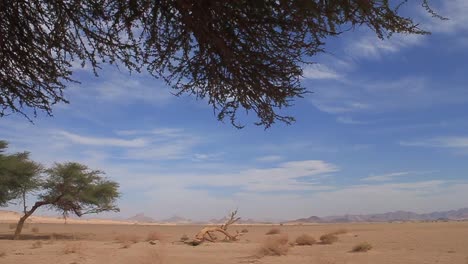 El-Sahara-De-Argelia
