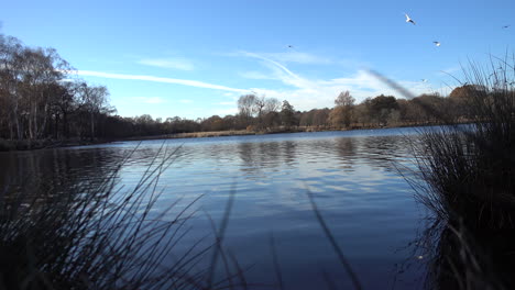 Still-blue-water-on-a-winter-lake-with-blue-sky