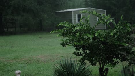 Während-Eines-Hurrikans-Strömt-Regen-Auf-Einen-Kleinen-Baum,-Der-Vom-Wind-Im-Hof-Herumgeweht-Wird,-Mit-Einem-Schuppen-Im-Hintergrund