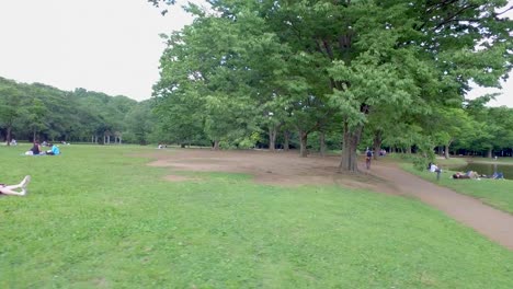 Slide-view-of-Yoyogi-park-with-people