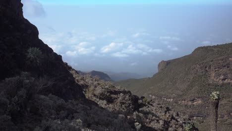 Statische-Aufnahme-Der-Kilimandscharo-Umgebung-Mit-Vielen-Bäumen,-Die-In-Die-Ferne-Blicken