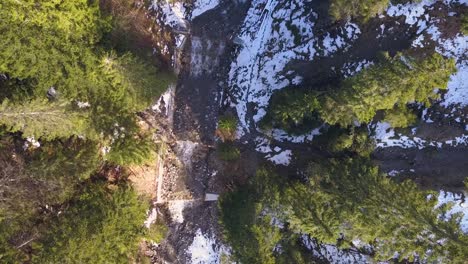 Aerial-shot-moving-in-on-a-mountain-river-surrounded-by-fir-trees-in-the-winter
