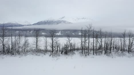 Toma-Aérea-Revela-Una-Montaña-Distante-Detrás-De-Los-árboles-Y-La-Nieve-En-Alaska