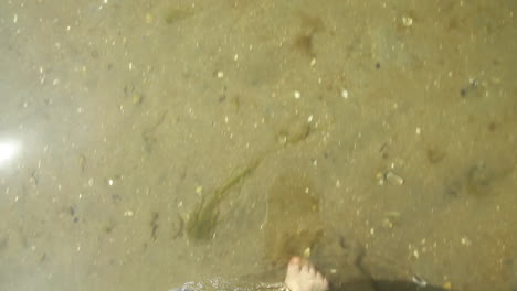 Feet-walking-in-sea-water