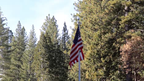 Bandera-Americana-Ondeando-En-El-Viento-Con-Bosque-Verde-En-El-Fondo