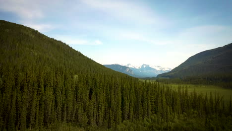 Filmische-Luftaufnahme-Eines-Wunderschönen-Waldes-Und-Einer-Bergkette