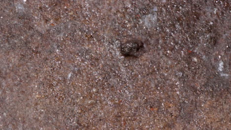 Close-up-of-a-rough-surface