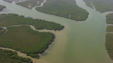 Aerial-flight-over-the-mangroves-forest-with-beautiful-sea,-two-ships-in-the-sea-moving-with-mangroves-forest