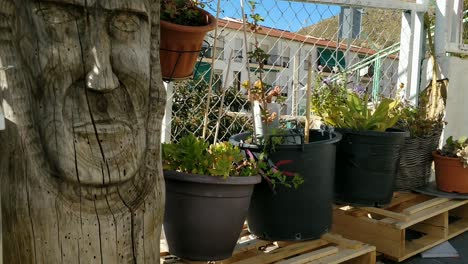 Wooden-Carved-Tribal-Face-Sculpture-and-Plants-Decoration-Outdoor