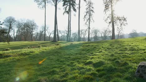 Helle-Landschaftliche-Aufnahmen,-Die-Rund-Um-Das-Anwesen-In-Trentham-Gardens,-Großbritannien,-Aufgenommen-Wurden