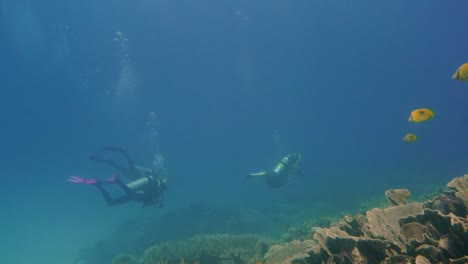 Desde-Arrecifes-Prístinos-Panorámicos-Hasta-Buceadores-Bajo-El-Agua