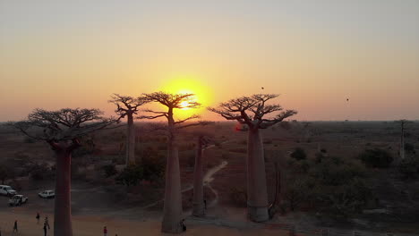 Aerial:-Sunset-at-the-avenue-of-the-baobabs-in-Madagascar