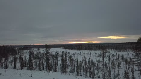 El-Bosque-Congelado-Cerca-De-Kuusamo-En-Laponia,-Finlandia