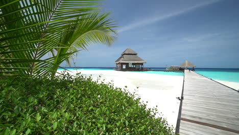 Maldives-Wooden-Track-For-Water-Villa-Bungalows-with-Turquoise-Ocean-Water-Tropical-Vegetation-and-Beautiful-Skyline