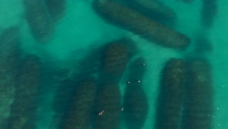 Aerial-footage-of-sea-birds-sitting-above-an-artificial-reef