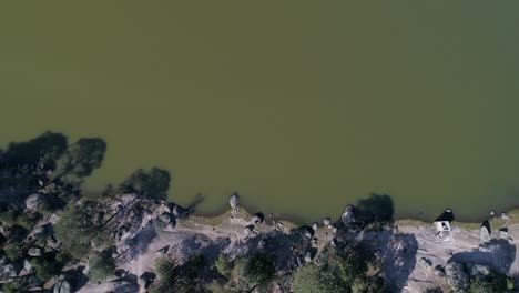 Aerial-overhead-shot-of-the-Arareco-Lake-in-the-Copper-Canyon-Region,-Chihuahua