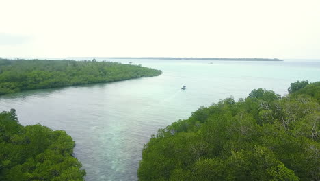 Tagsüber-In-Den-Mangrovenwaldinseln