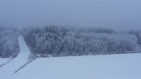 Aerial-view-of-forest-during-winter