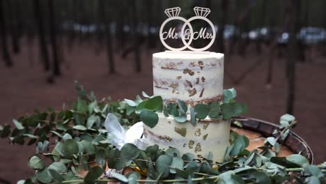 Medium-shot-of-wedding-cake-on-a-barrel-with-leaves