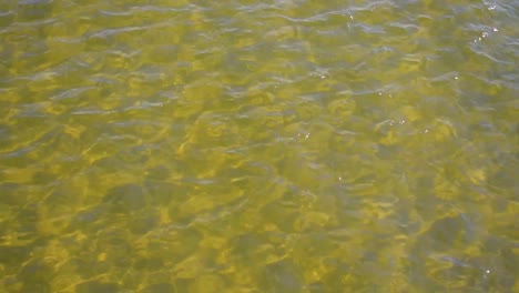 Blick-Von-Oben-Auf-Das-Goldfarbene-Buchtwasser-Mit-Sonnendurchflutetem-Wellenmuster-Im-Hintergrund