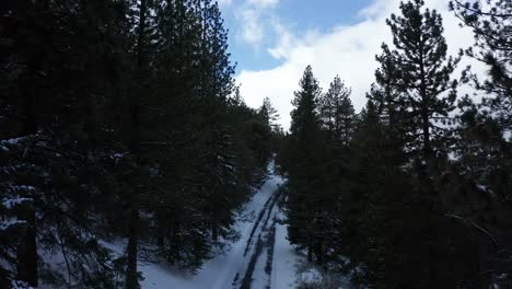 Flying-through-snow-covered-forest-in-Tehachapi-California