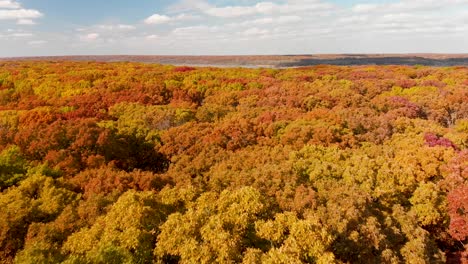 4k-horizon-sky-aerial-drone-flying-over-very-colorful-tops-of-trees-in-a-forest-under-blue-sky-and-white-clouds-as-the-sun-shines-on-their-red,-green,-yellow-and-orange-colorful-leaves-in-autumn