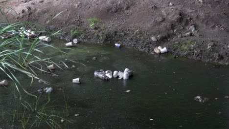 Pan-Polystyrene-Cups,-Plastic-Bottles-and-Cans-Float-in-Polluted-Algae-Water