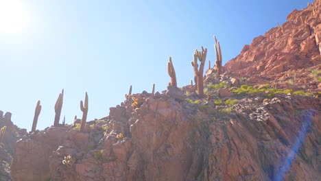 Cactus-Canyon-near-San-Pedro-de-Atacama-in-the-Atacama-Desert,-northern-Chile,-South-America