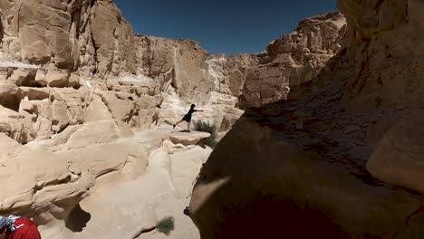Coloured-Canyon-in-Dahab,-driving-and-exploring-this-beautiful-canyon-in-Egypt