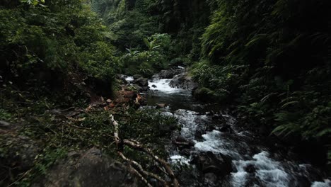 Bali-Indonesien-Tropischer-Fluss-Im-Regenwald