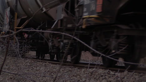 close-up-behind-small-tree-branches-of-a-freight-train-passing,-LOW-ANGLE