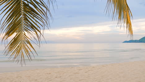 Empty-paradise-beach-with-calm-waves-of-the-ocean-and-branches-of-a-palm-tree-in-the-foreground