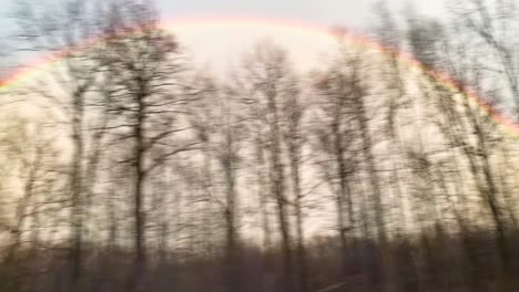 Perfekter-Regenbogen-Am-Himmel,-Sichtbar-Durch-Bäume-Von-Einem-Fahrenden-Auto-Aus