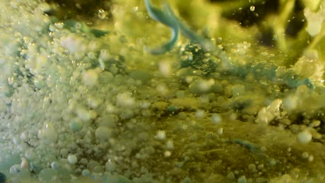 Wissenschaftliches-Experiment-Mit-Flüssiger-Botanik-Mit-Explodierenden-Blasen-Und-Trümmerbewegungen-Mit-60-Bildern-Pro-Sekunde