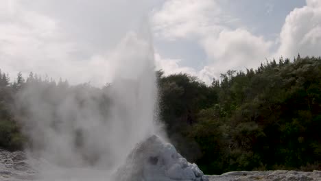 Close-up-of-the-erupting-Lady-Knox-Geyser